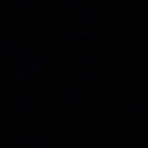 Meet your Posher, Madeleine